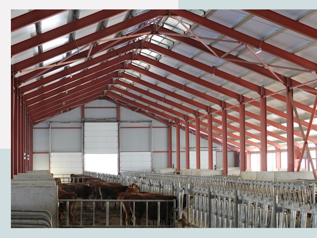 Строительство коровников в Артеме