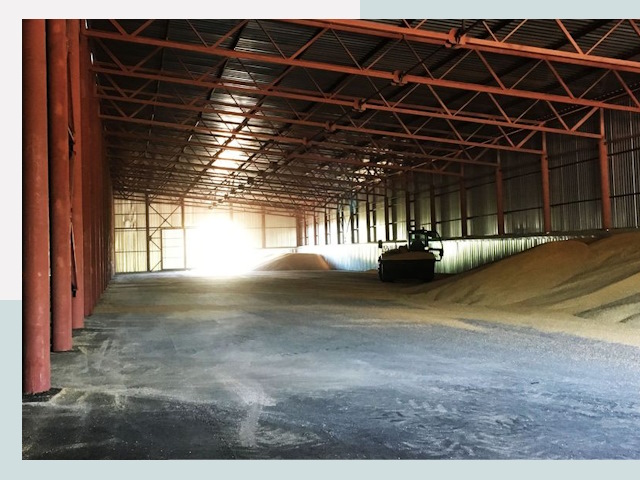 Строительство зернохранилищ в Артеме