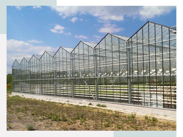 Строительство теплиц в Артем от 622 руб. за м²