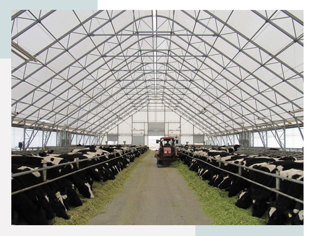 Тентовые коровники в Артеме от 622 руб. - Надежно и доступно